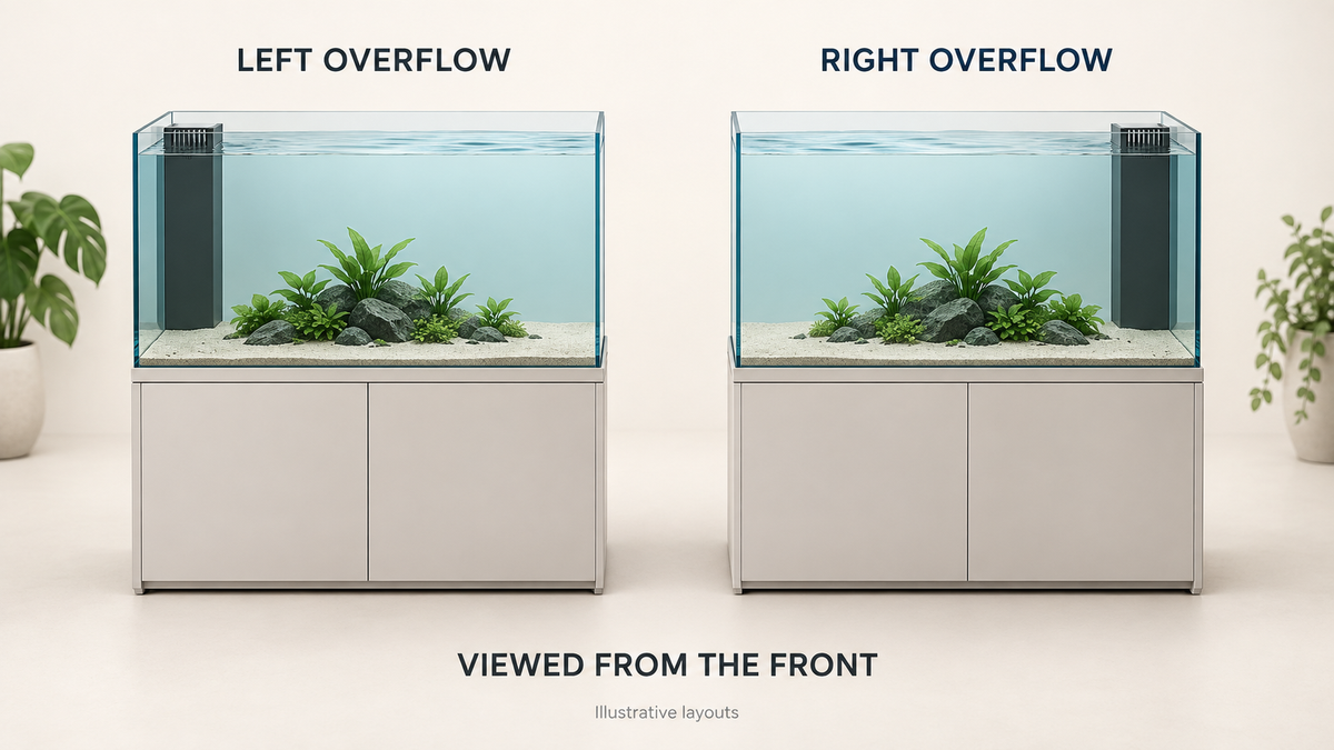 Illustration comparing left and right overflow positions in two aquariums, viewed from the front