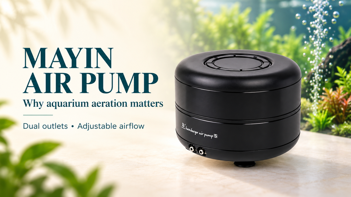 MAYIN Hamburger S dual-outlet air pump beside an illustrative aquarium background.
