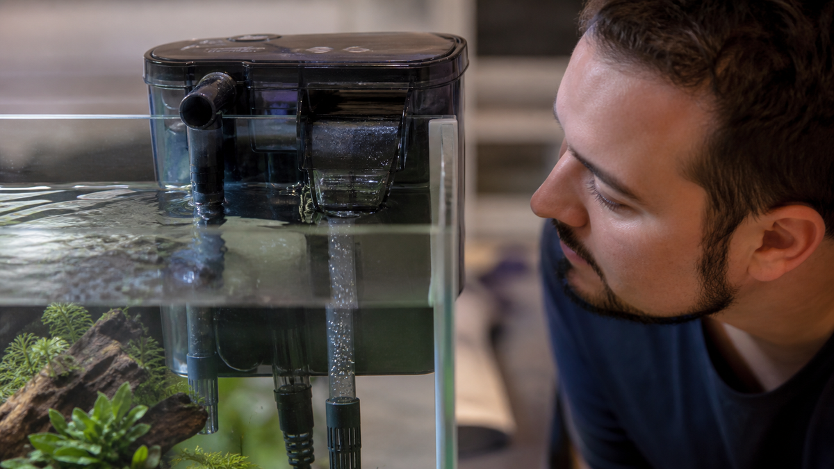 An aquarium keeper inspecting a noisy filter with air trapped in its intake tube.