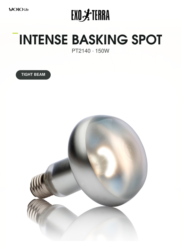 Exo Terra Intense Basking Spot 150W, Heat Lamp, 35% Beam, for Breeding
