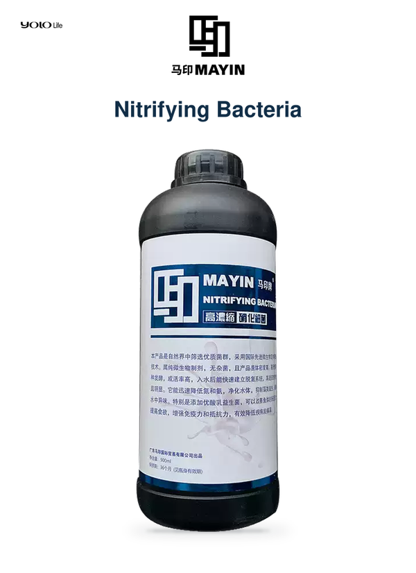 MAYIN Nitrifying Bacteria 900 mL (Approx. 30.4 fl oz)