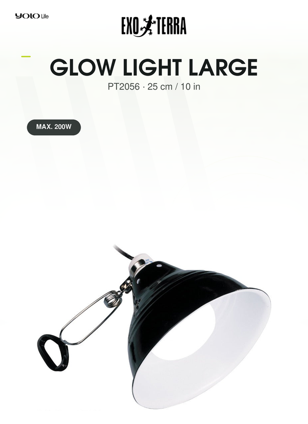 Exo Terra Glow Light Large (25 cm), Porcelain Clamp Lamp, for Reptiles