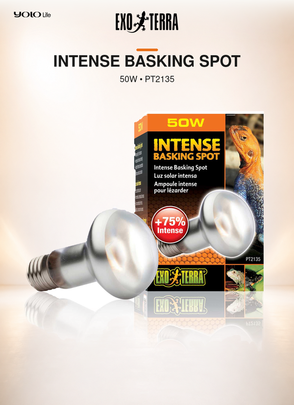 Exo Terra Intense Basking Spot 50 W Heat Bulb