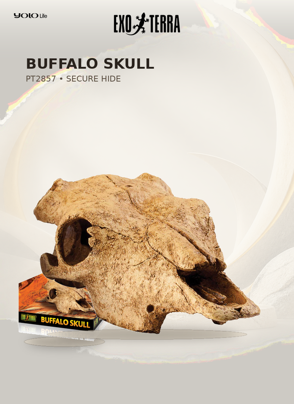 Exo Terra Buffalo Skull Reptile Hide PT2857