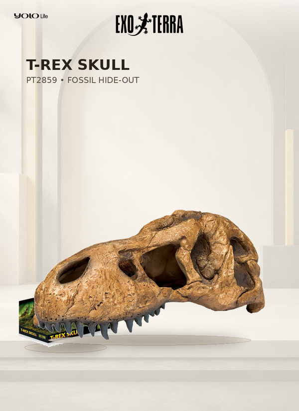 Exo Terra T-Rex Skull Fossil Hide-Out PT2859