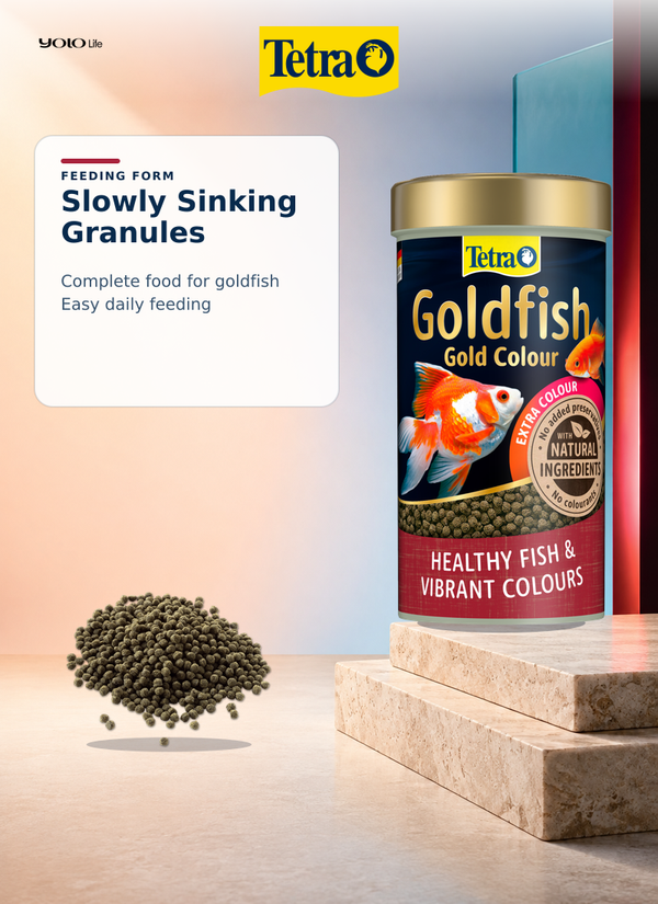Tetra Goldfish Gold Colour Granules Fish Food 250 mL (75 g)