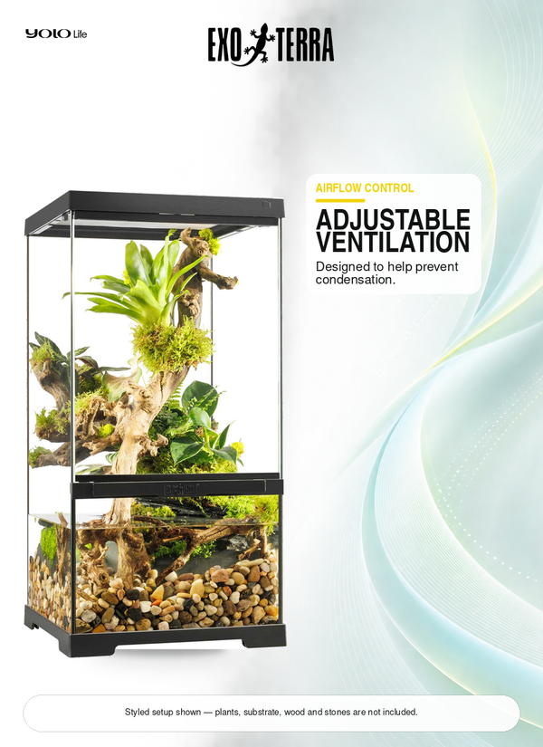 Exo Terra Pro Paludarium X-Small X-Tall 300 × 300 × 600 mm