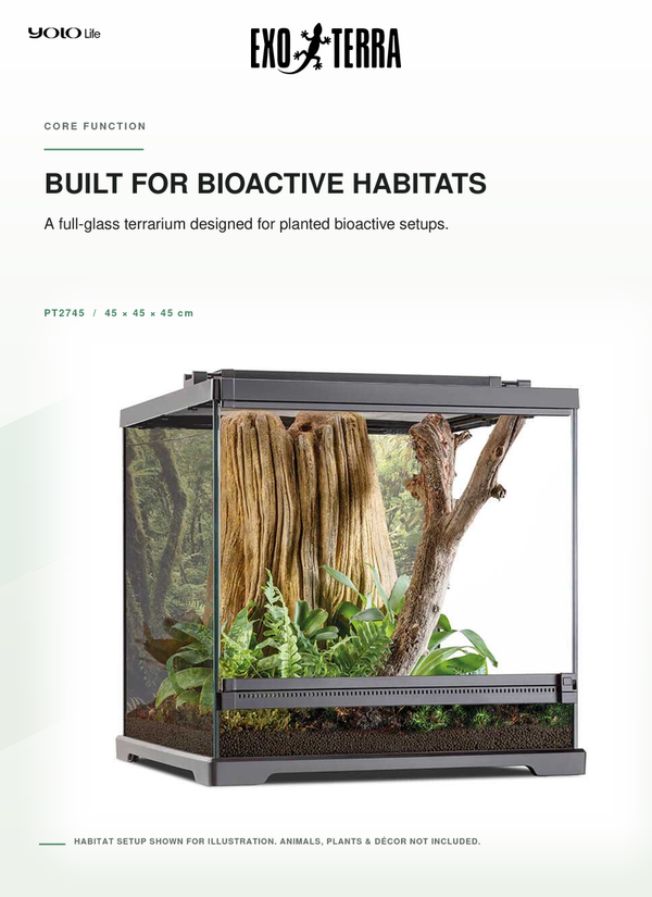 Exo Terra Dart Frog Terrarium 450 × 450 × 450 mm