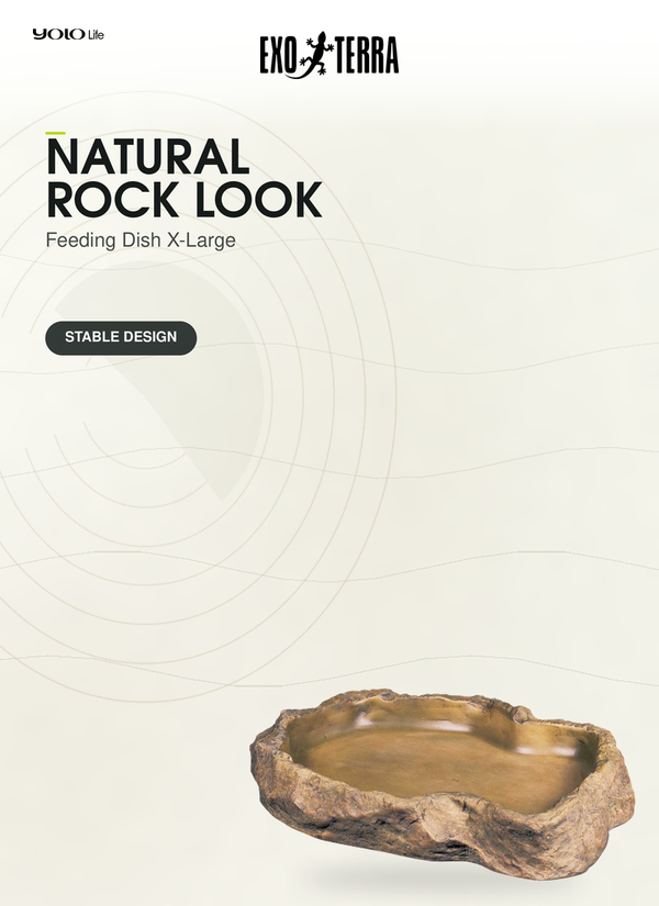 Exo Terra Feeding Dish (XLarge), Reptile Bowl, for Snakes, Newts