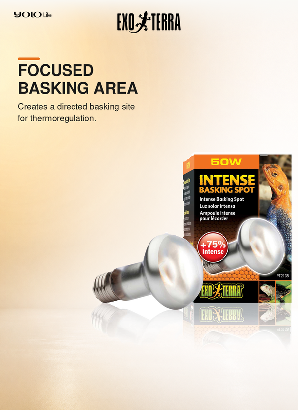Exo Terra Intense Basking Spot 50 W Heat Bulb