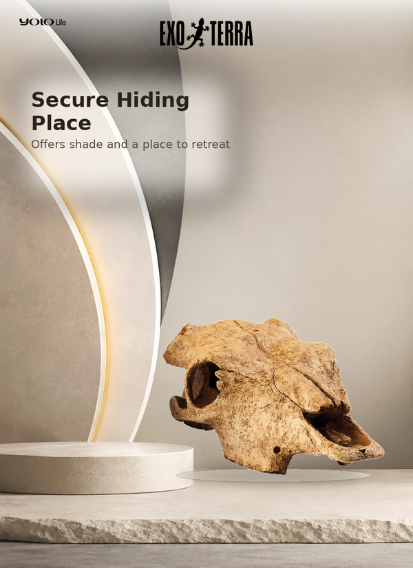 Exo Terra Buffalo Skull Reptile Hide PT2857