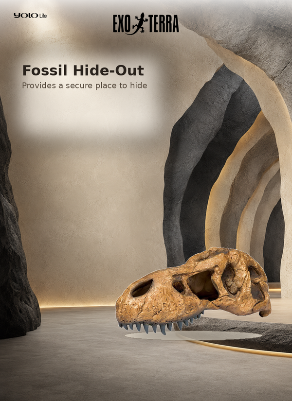 Exo Terra T-Rex Skull Fossil Hide-Out PT2859