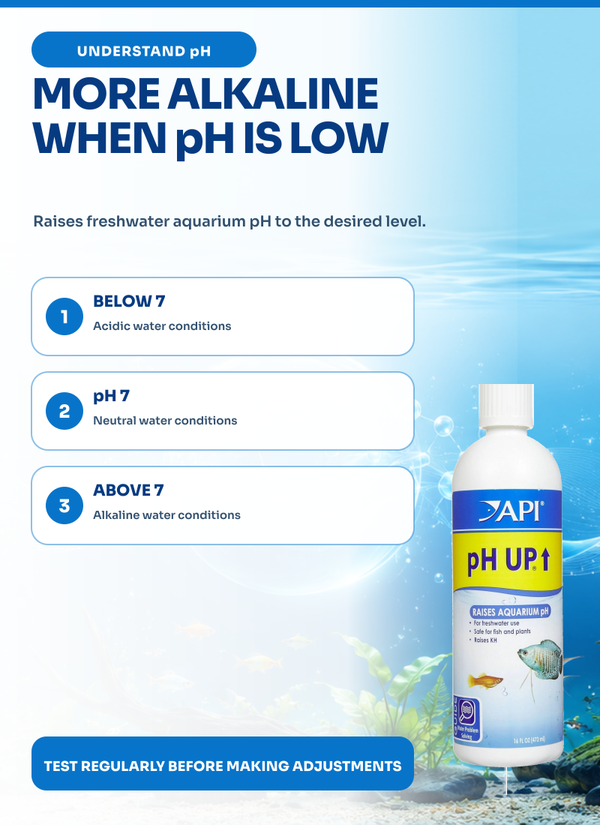 API pH Up (16 oz), pH Balancer, Water Treatment, Aquarium Additive