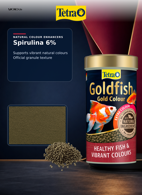 Tetra Goldfish Gold Colour Granules Fish Food 250 mL (75 g)