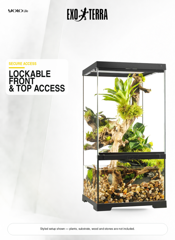 Exo Terra Pro Paludarium (X-Small X-Tall), 30 x 30 x 60 cm, Terrarium