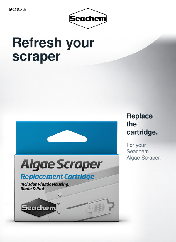 Seachem Algae Scraper Replacement Cartridge Kit