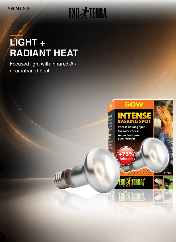 Exo Terra Intense Basking Spot 50 W Heat Bulb