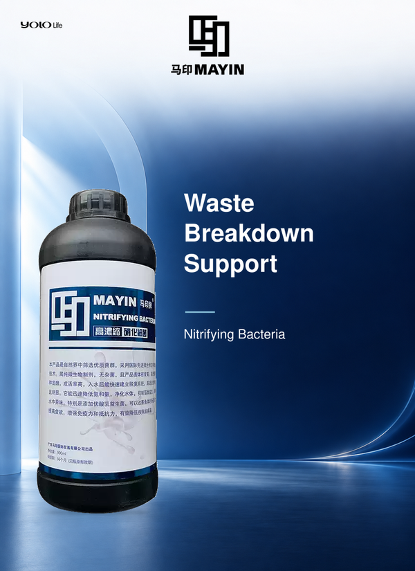 MAYIN Nitrifying Bacteria 900 mL (Approx. 30.4 fl oz)