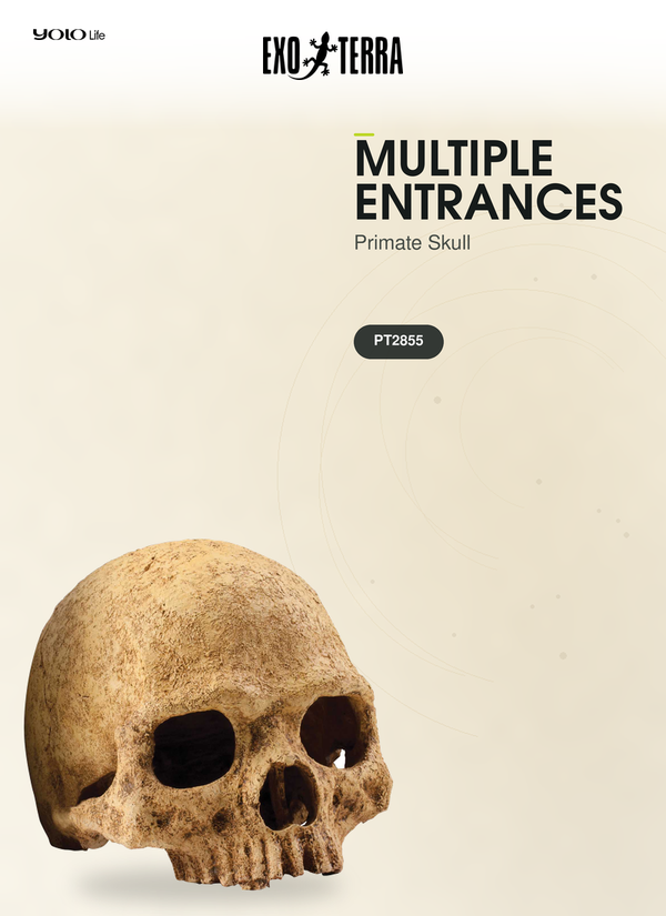 Exo Terra Primate Skull, Reptile Hide, Cave for Desert, Forest, Tank