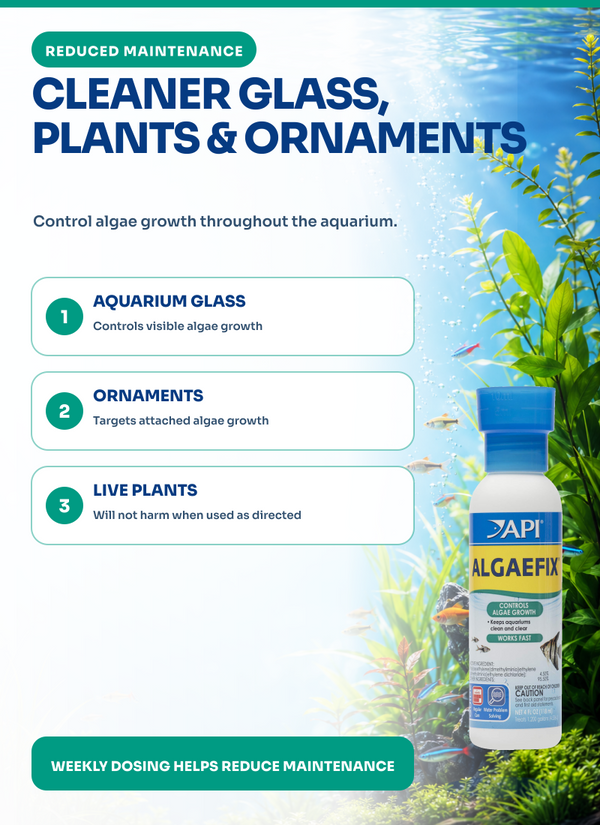 API Algaefix 4 oz, Algae Control, Aquarium Treatment, for Fish, Plants