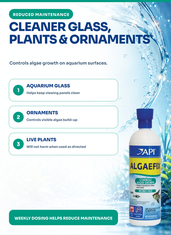 API Algaefix 16 oz, Algae Control, Algaecide, for Fish, Plants, Tanks