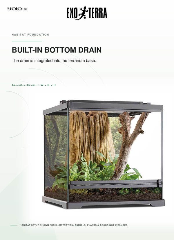Exo Terra Dart Frog Terrarium 45x45x45cm, Full Glass Amphibian Habitat