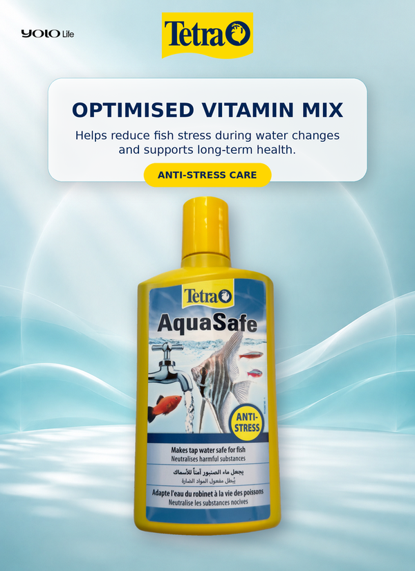 Tetra AquaSafe Water Conditioner 500 mL (approx. 16.91 fl oz)