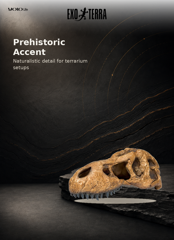 Exo Terra T-Rex Skull Fossil Hide-Out PT2859