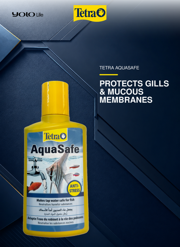 Tetra AquaSafe Water Conditioner 250 mL (approx. 8.45 fl oz)