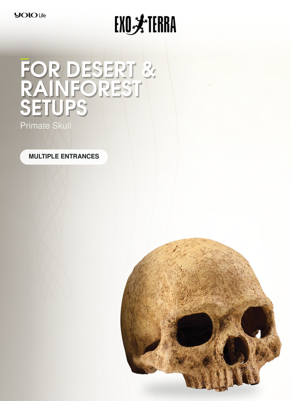 Exo Terra Primate Skull, Reptile Hide, Cave for Desert, Forest, Tank