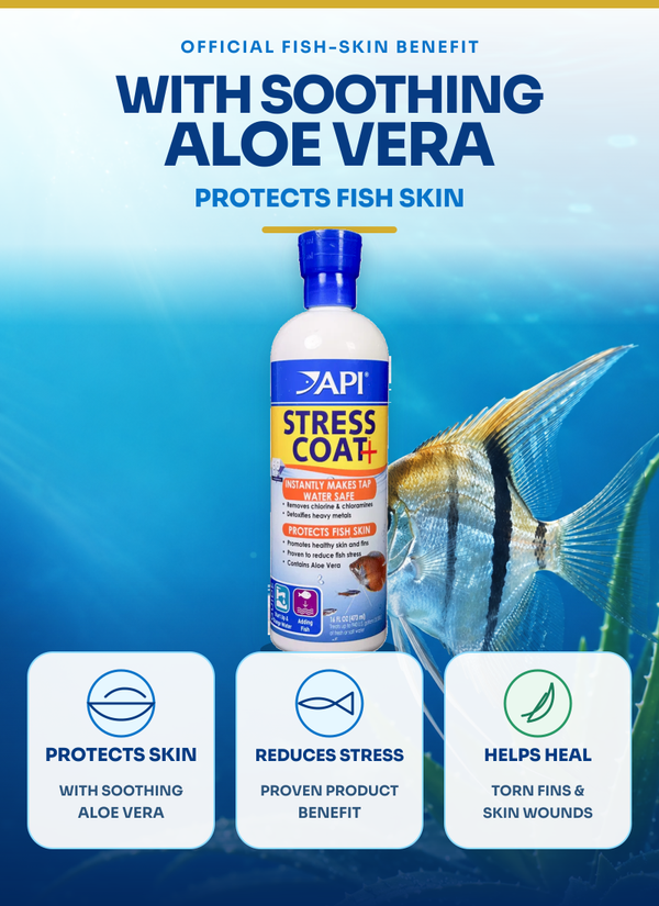 API Stress Coat 16 oz, Water Treatment, Care, for Fish, Plants, Ponds
