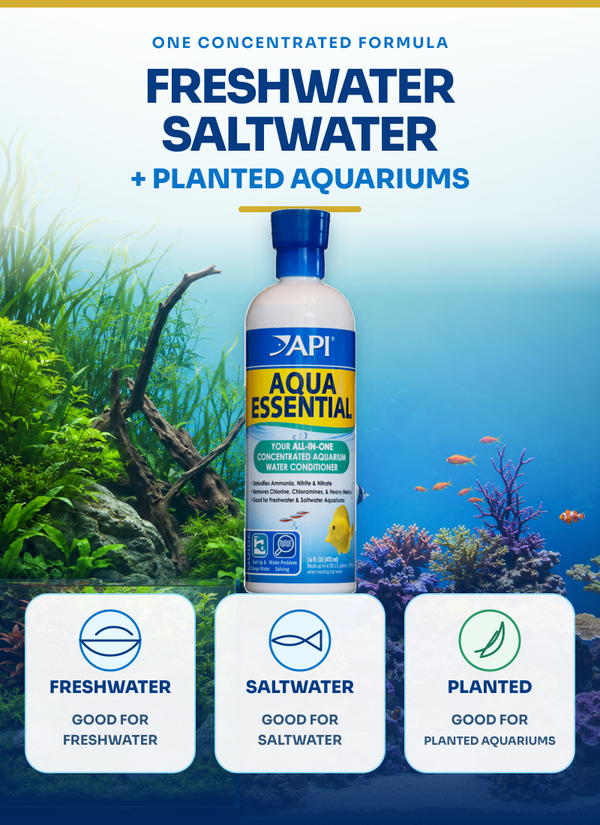 API Aqua Essential (16 oz), Water Conditioner, for Fish, Plants, Tanks