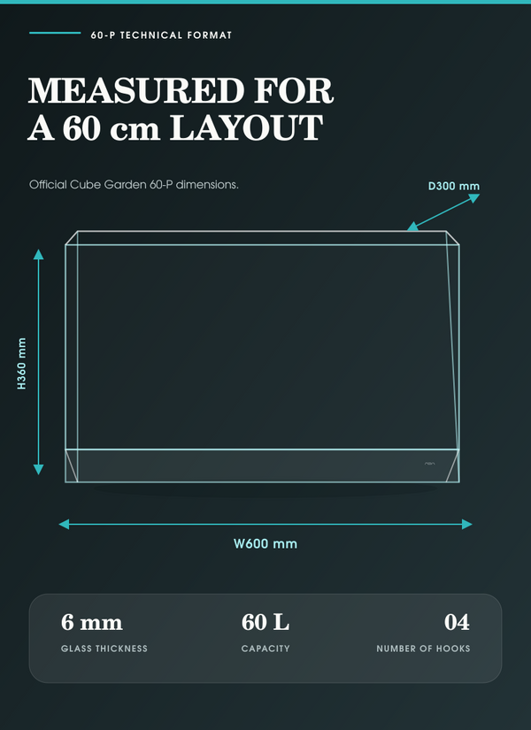 ADA Cube Garden 60-P (600x300x360 mm, 6mm), 60L High Clarity Aquarium Tank
