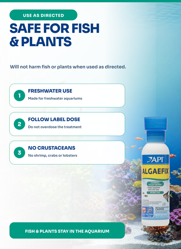 API Algaefix 4 oz, Algae Control, Aquarium Treatment, for Fish, Plants