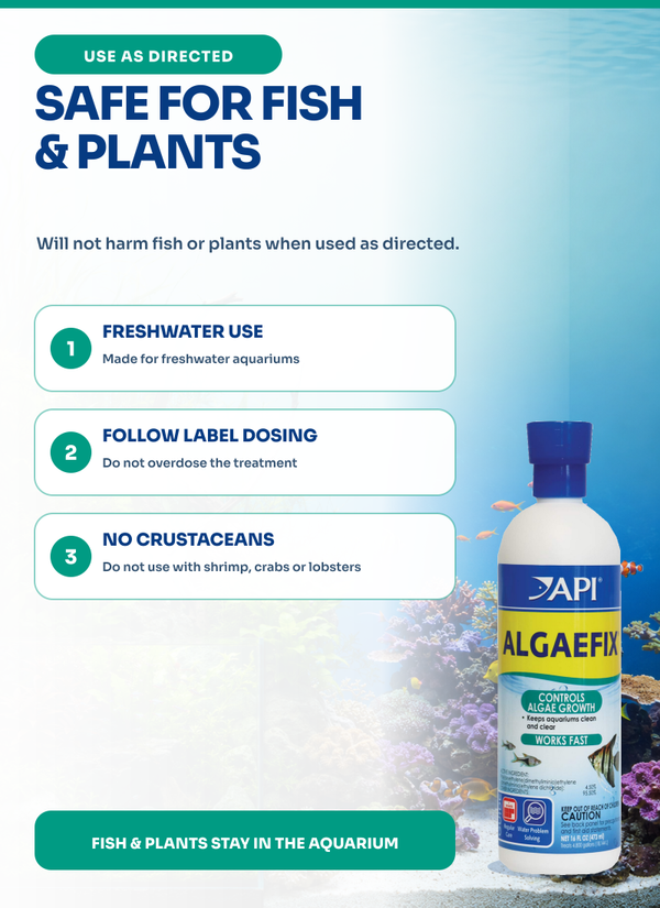 API Algaefix 16 oz, Algae Control, Algaecide, for Fish, Plants, Tanks