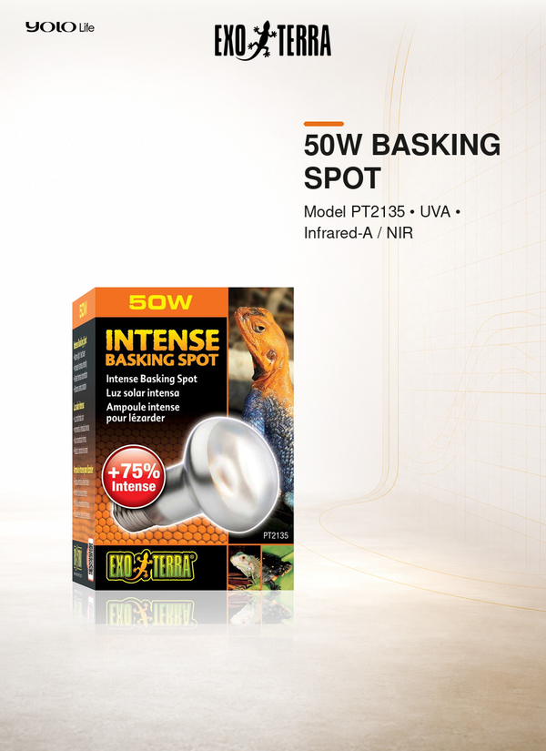Exo Terra Intense Basking Spot 50 W Heat Bulb