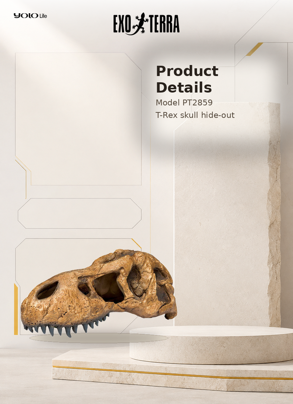 Exo Terra T-Rex Skull Fossil Hide-Out PT2859