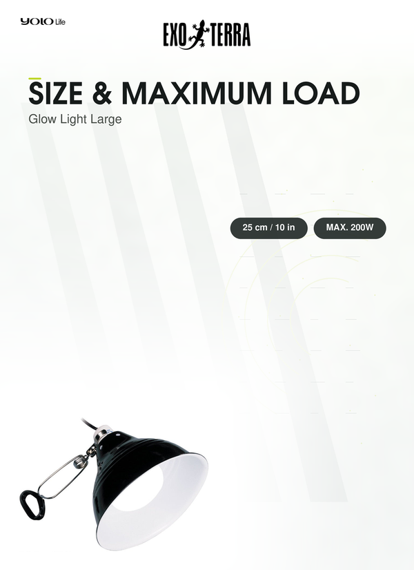 Exo Terra Glow Light Large (25 cm), Porcelain Clamp Lamp, for Reptiles