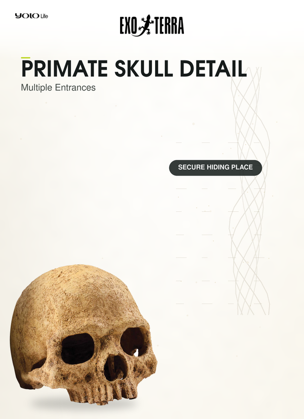 Exo Terra Primate Skull, Reptile Hide, Cave for Desert, Forest, Tank