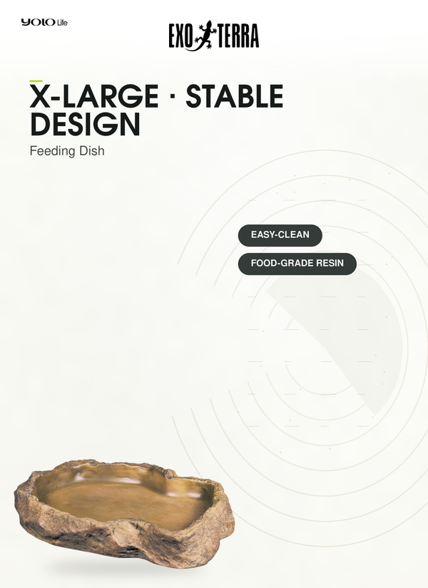 Exo Terra Feeding Dish (XLarge), Reptile Bowl, for Snakes, Newts