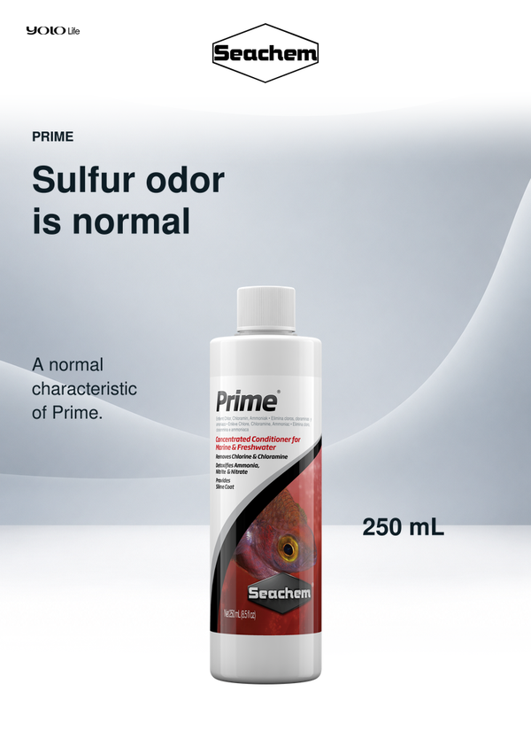 Seachem Prime Aquarium Water Conditioner 250 ml