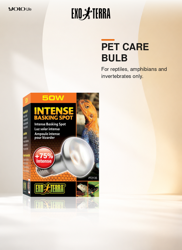 Exo Terra Intense Basking Spot 50 W Heat Bulb