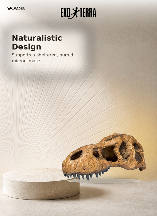 Exo Terra T-Rex Skull Fossil Hide-Out PT2859