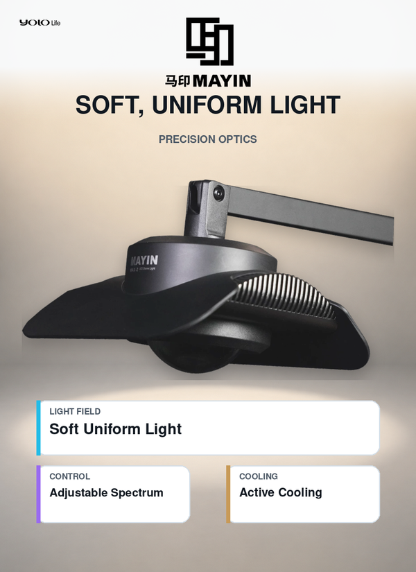 Mayin Aquarium LED, Full Spectrum Tank Lamp, Fish Light for Plants