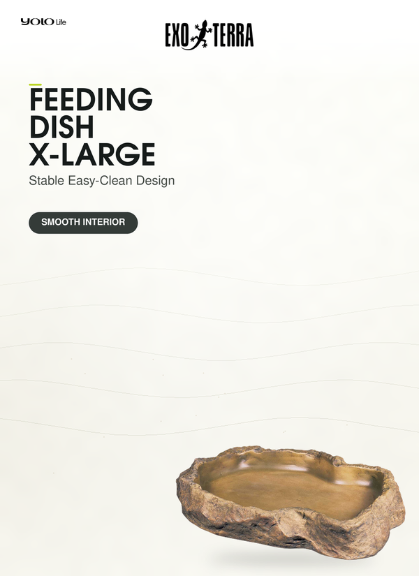 Exo Terra Feeding Dish (XLarge), Reptile Bowl, for Snakes, Newts