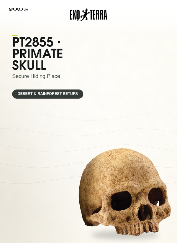 Exo Terra Primate Skull, Reptile Hide, Cave for Desert, Forest, Tank