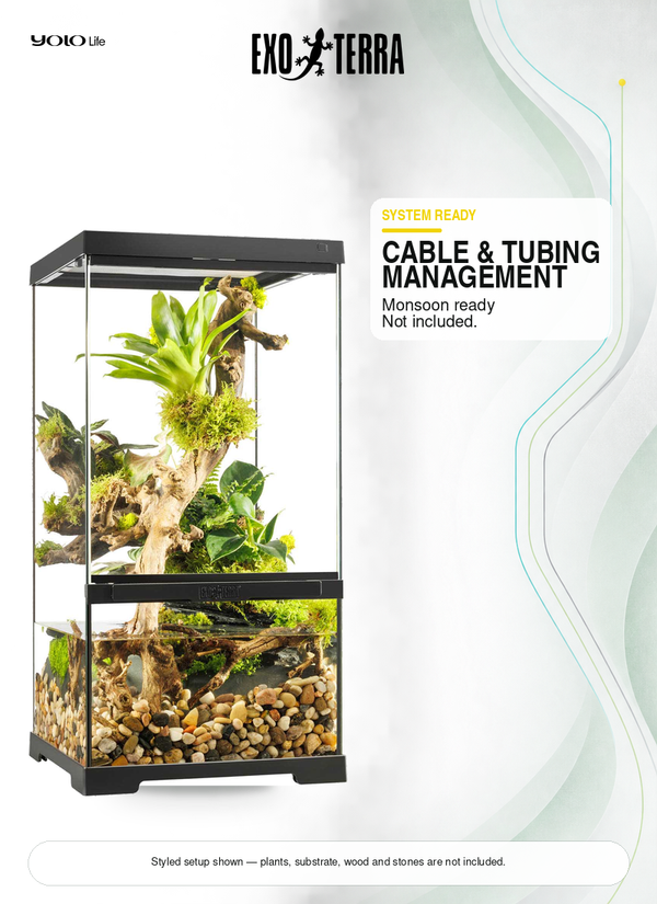 Exo Terra Pro Paludarium (X-Small X-Tall), 30 x 30 x 60 cm, Terrarium