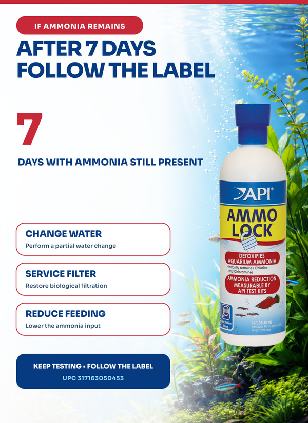 API Ammo-Lock (16 oz), Ammonia Detoxifier, for Aquarium, Fresh, Salt