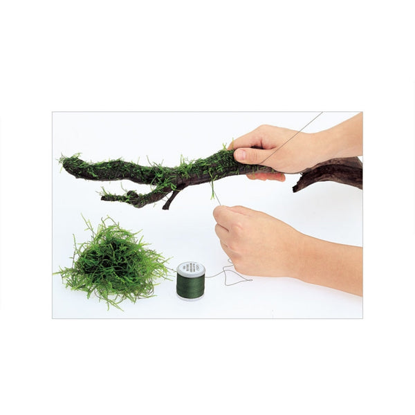 ADA Moss Cotton (200 m), Thread, Planting Line for Wood, Rock, Moss