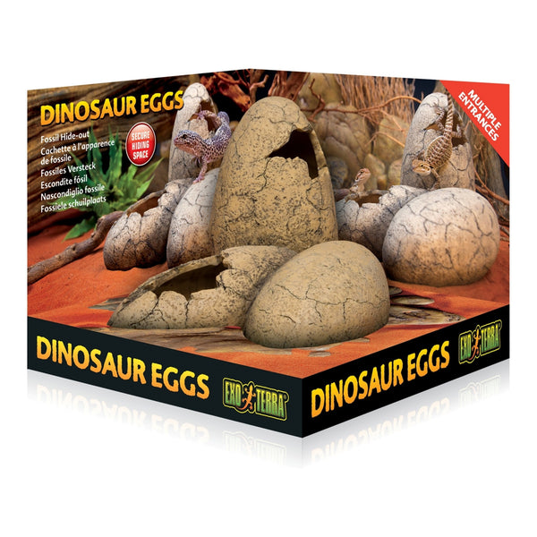 Exo Terra Dinosaur Eggs Fossil Hide Out, Terrarium Decor, for Reptiles